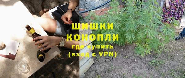 Альфа ПВП Корсаков
