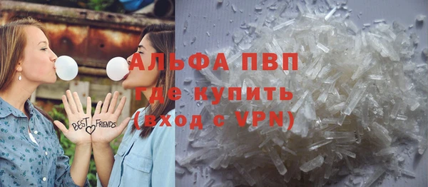 стаф Козельск
