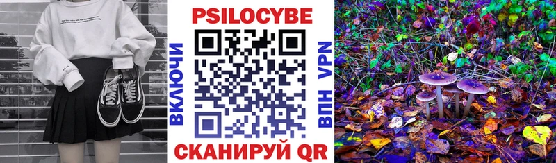 Галлюциногенные грибы мицелий  Сальск 
