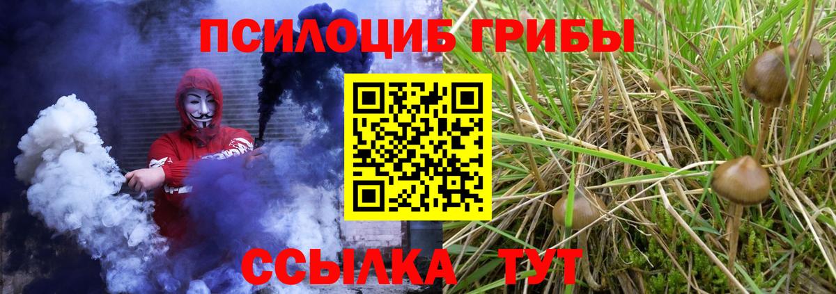 Псилоцибиновые грибы Cubensis  Вход с VPN  Сальск 